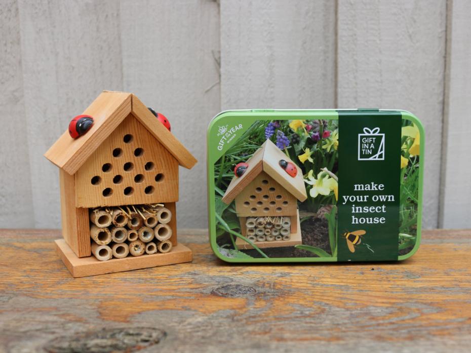 Insect House and Tin